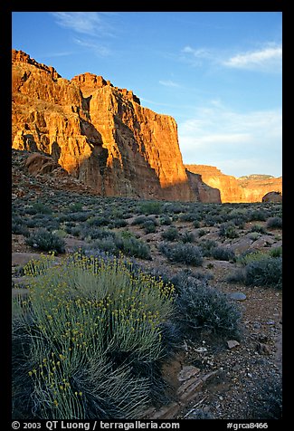 Red wall seen from Surprise Valley, sunset. Grand Canyon National Park, Arizona, USA.