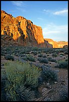 Red wall seen from Surprise Valley, sunset. Grand Canyon National Park, Arizona, USA.