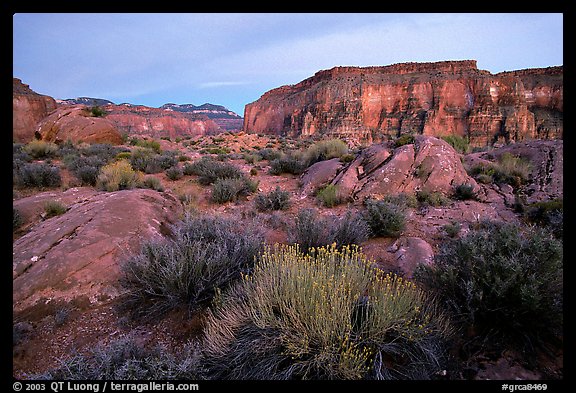 Flowers and mesas in Surprise Valley near Tapeats Creek, dusk. Grand Canyon National Park (color)