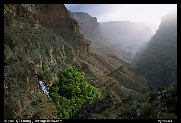 Thunder Spring and Tapeats Creek, morning. Grand Canyon National Park, Arizona, USA.