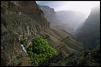 Thunder Spring and Tapeats Creek, morning. Grand Canyon National Park, Arizona, USA.
