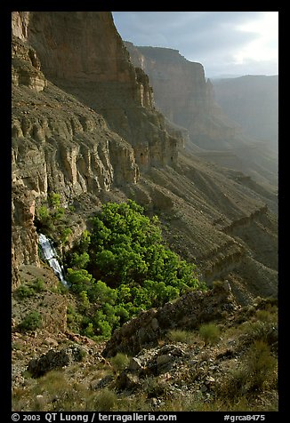 Thunder Spring and Tapeats Creek, morning. Grand Canyon National Park, Arizona, USA.