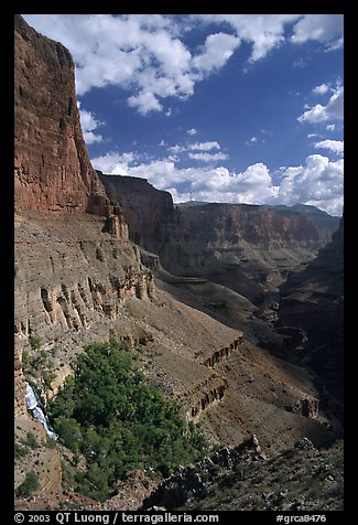 Red wall, Thunder Spring and Tapeats Creek, morning. Grand Canyon National Park (color)