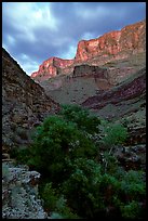 Tapeats Creek, dusk. Grand Canyon National Park, Arizona, USA. (color)