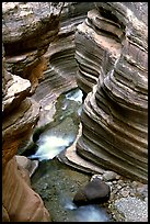 Deer Creek Narrows. Grand Canyon National Park, Arizona, USA.