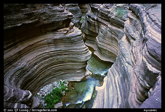 Narrows of Deer Creek. Grand Canyon National Park (color)