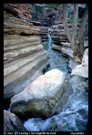 Deer Creek flows into a narrow canyon. Grand Canyon National Park, Arizona, USA.