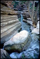 Deer Creek flows into a narrow canyon. Grand Canyon National Park, Arizona, USA. (color)