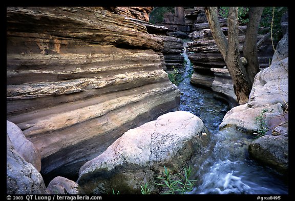 Entrance of Deer Creek Narrows. Grand Canyon National Park (color)