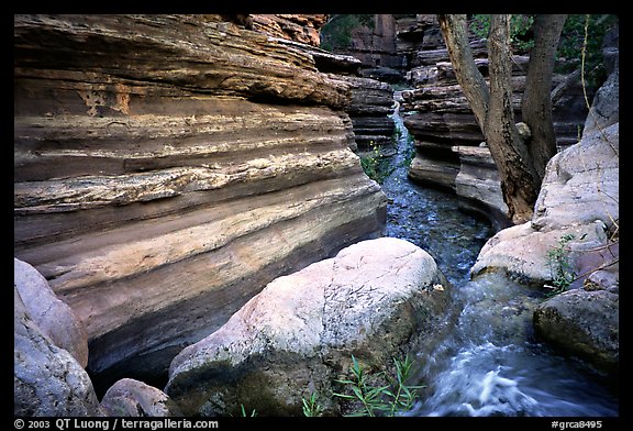 Entrance of Deer Creek Narrows. Grand Canyon National Park, Arizona, USA.