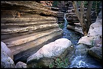 Entrance of Deer Creek Narrows. Grand Canyon National Park, Arizona, USA. (color)