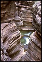 Slot Canyon carved by Deer Creek. Grand Canyon National Park ( color)