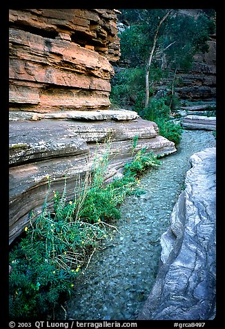 Stream in Deer Creek Narrows. Grand Canyon National Park (color)