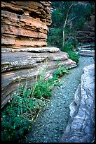 Stream in Deer Creek Narrows. Grand Canyon National Park, Arizona, USA.