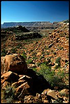 Layers of Supai from  edge of  Esplanade. Grand Canyon National Park ( color)