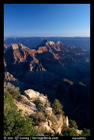 View from Bright Angel Point. Grand Canyon National Park, Arizona, USA.