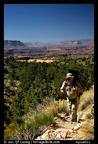 Backpacker on  Esplanade, Thunder River and Deer Creek trail. Grand Canyon National Park (color)