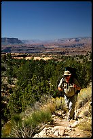 Backpacker on  Esplanade, Thunder River and Deer Creek trail. Grand Canyon National Park, Arizona, USA. (color)