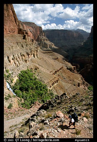 Backpacker on switchbacks above Tapeats Creek. Grand Canyon National Park (color)