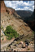 Backpacker on switchbacks above Tapeats Creek. Grand Canyon National Park ( color)