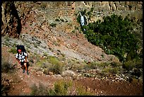 Backpacker above Thunder River Oasis. Grand Canyon National Park, Arizona, USA.