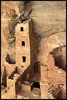 Square Tower house,  park tallest ruin, afternoon. Mesa Verde National Park, Colorado, USA. (color)