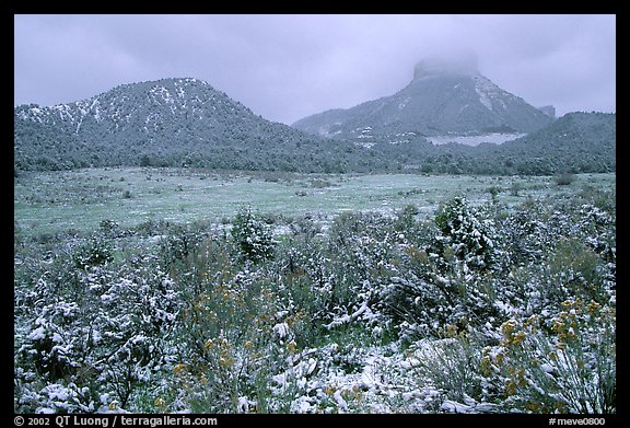 Fresh snow on meadows and mesas near  Park entrance. Mesa Verde National Park, Colorado, USA.