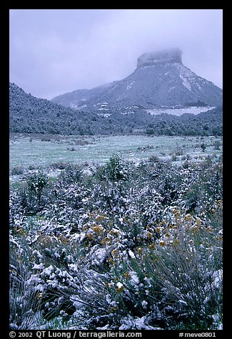 Fresh snow on meadows and Lookout Peak. Mesa Verde National Park (color)
