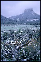 Fresh snow on meadows and Lookout Peak. Mesa Verde National Park, Colorado, USA. (color)