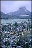 Fresh snow on meadows and Lookout Peak. Mesa Verde National Park, Colorado, USA.