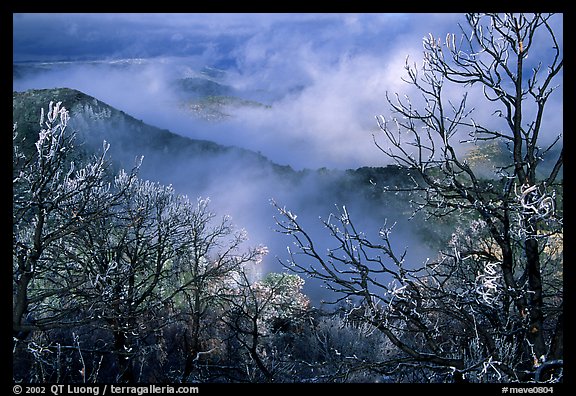 Clearing winter storm on North Rim, morning. Mesa Verde National Park (color)