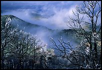 Clearing winter storm on North Rim, morning. Mesa Verde National Park ( color)