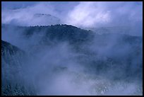 Winter storm clears on North Rim at Park Point, morning. Mesa Verde National Park ( color)