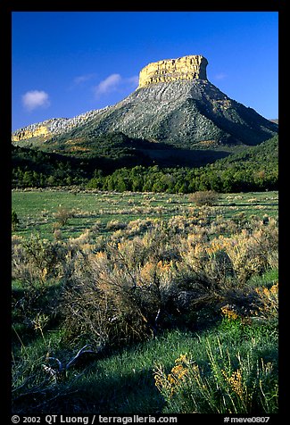 Meadows and mesas near  Park entrance, early morning. Mesa Verde National Park, Colorado, USA.