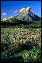 Meadows and mesas near  Park entrance, early morning. Mesa Verde National Park, Colorado, USA.