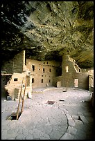 Ladder emerging from Kiva and Spruce Tree house. Mesa Verde National Park, Colorado, USA. (color)
