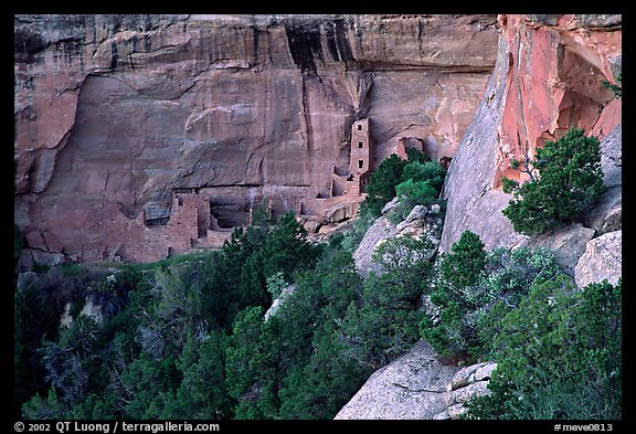 Square Tower house and trees, dusk. Mesa Verde National Park, Colorado, USA.