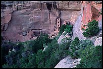 Square Tower house and trees, dusk. Mesa Verde National Park, Colorado, USA. (color)