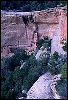 Square Tower house and trees, dusk. Mesa Verde National Park, Colorado, USA. (color)