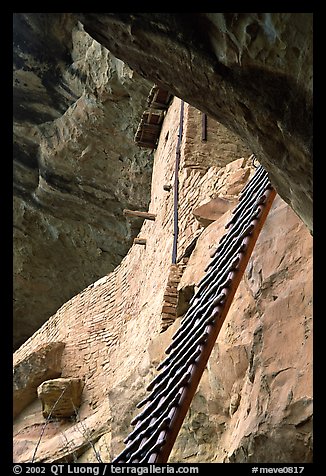 Balcony House ladder, afternoon. Mesa Verde National Park, Colorado, USA.