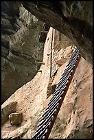 Balcony House ladder, afternoon. Mesa Verde National Park, Colorado, USA.