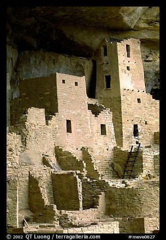 Square Tower in Cliff Palace. Mesa Verde National Park (color)