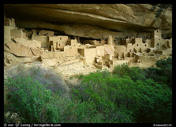 Cliff Palace. Mesa Verde National Park (color)