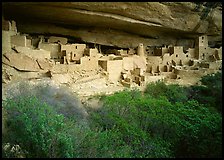 Cliff Palace ruin in rock alcove. Mesa Verde National Park, Colorado, USA. (color)