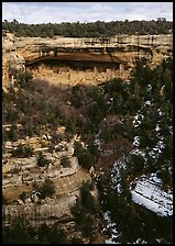 Cliff Palace seen from across valley in winter. Mesa Verde National Park, Colorado, USA. (color)
