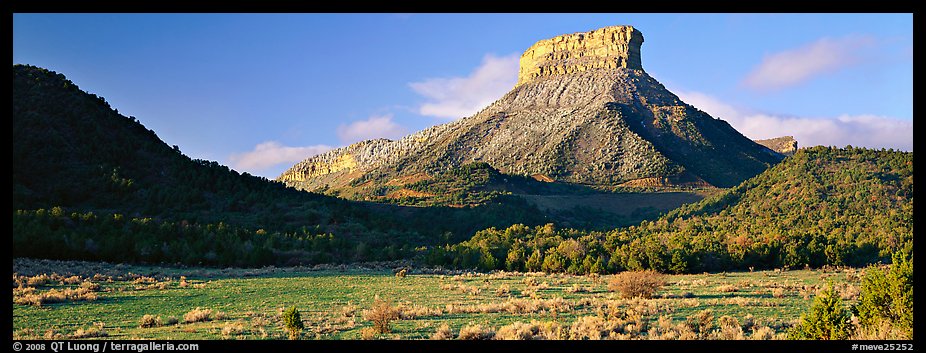 Lookout Peak and meadow. Mesa Verde National Park (color)