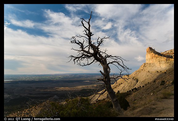 Montezuma Valley Overlook. Mesa Verde National Park (color)