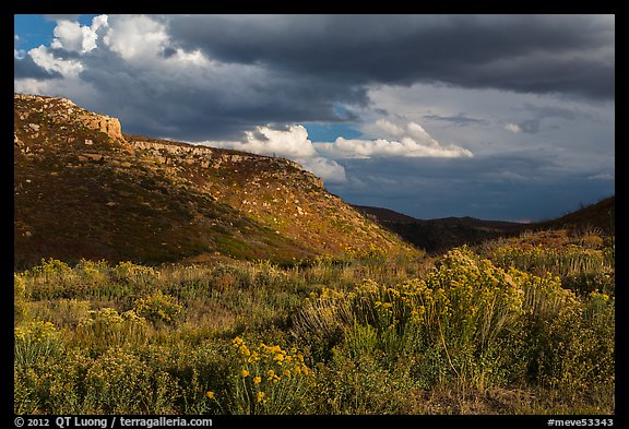 Prater Canyon, afternoon storm. Mesa Verde National Park, Colorado, USA.