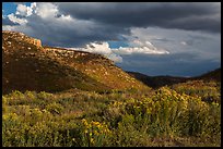 Prater Canyon, afternoon storm. Mesa Verde National Park, Colorado, USA. (color)