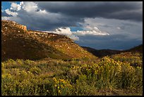 Prater Canyon, afternoon storm. Mesa Verde National Park ( color)